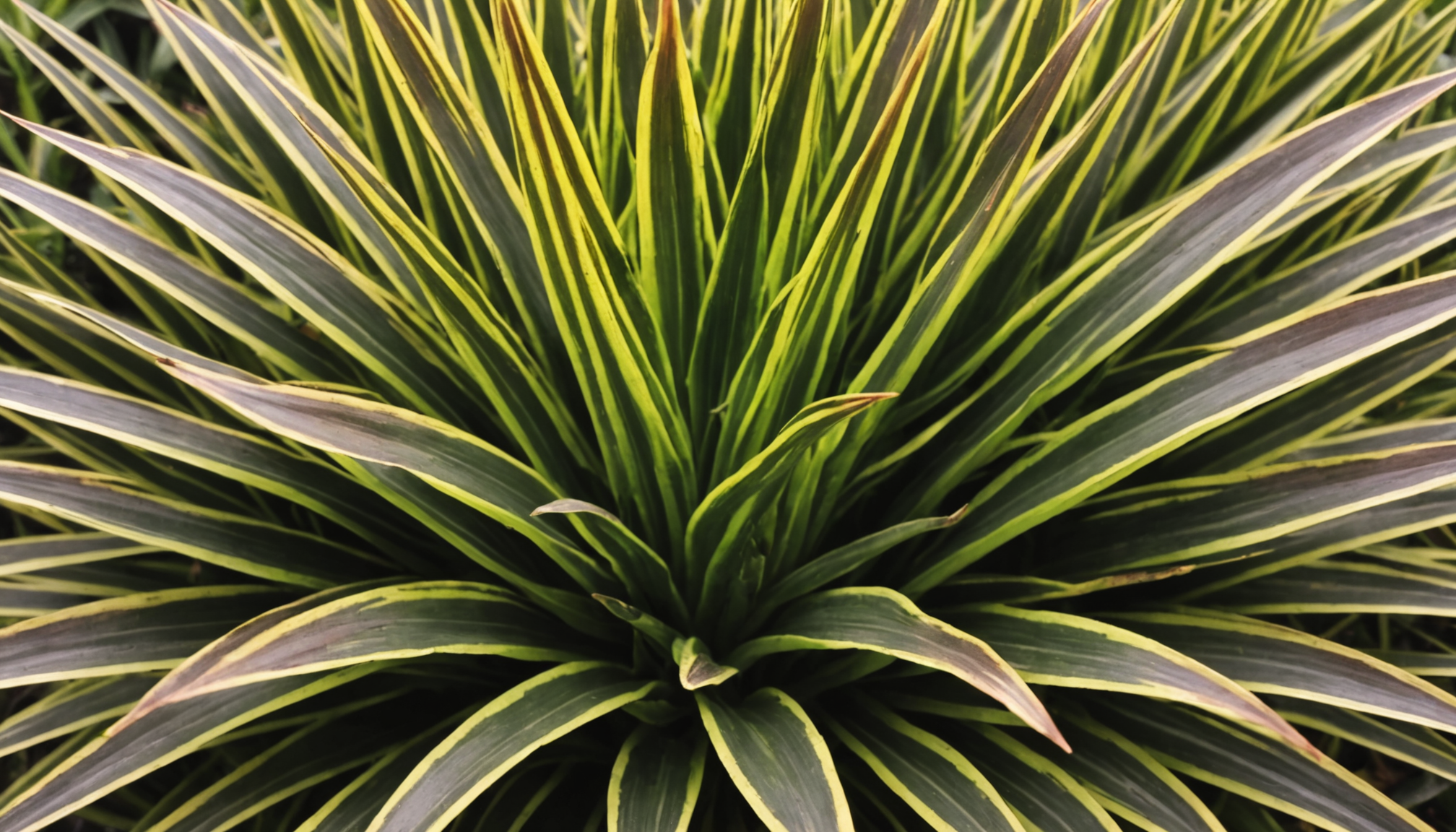 découvrez s'il est indispensable de tailler les extrémités brunies des feuilles de vos plantes d'intérieur pour préserver leur santé et favoriser une meilleure croissance.